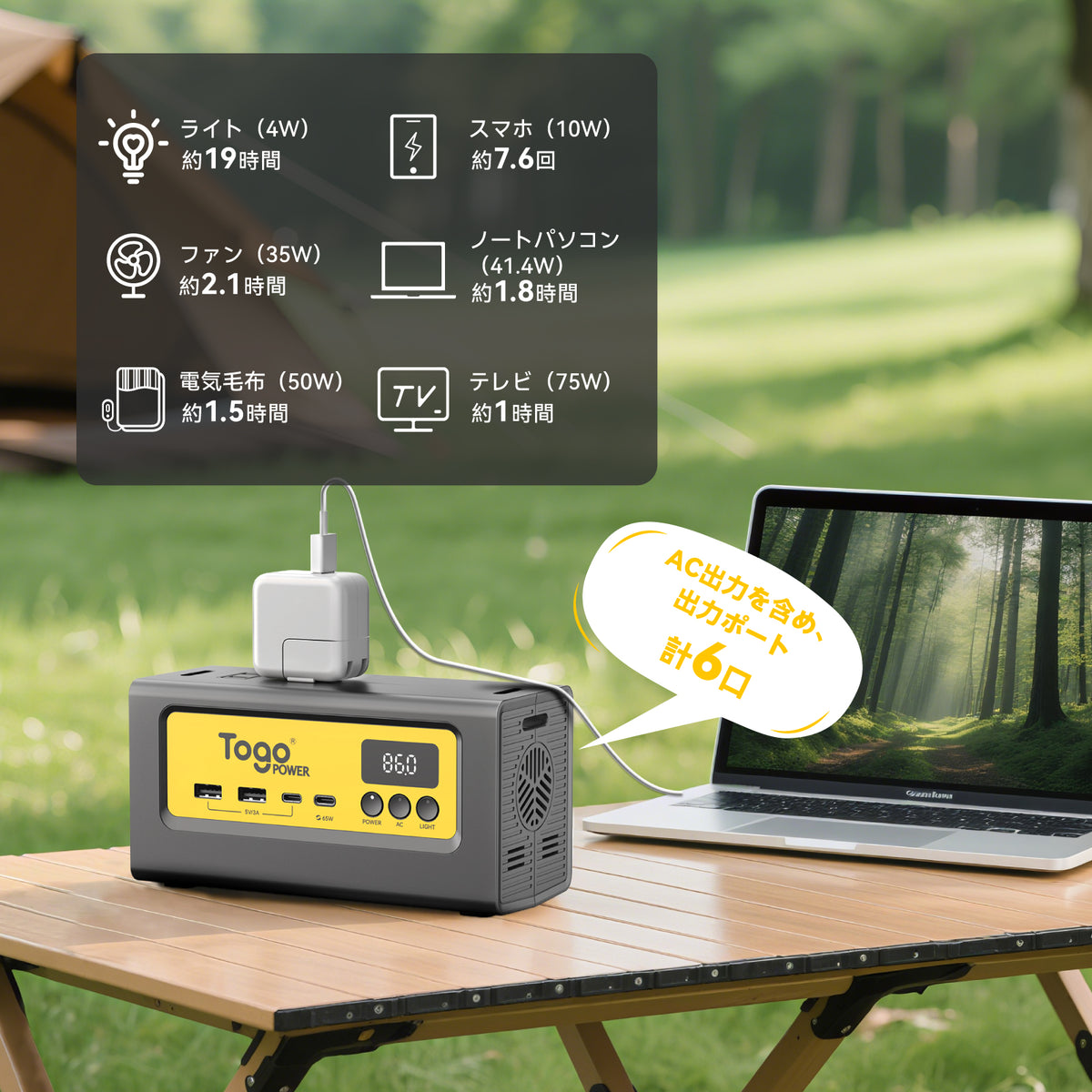 TogoPower INFINITY100